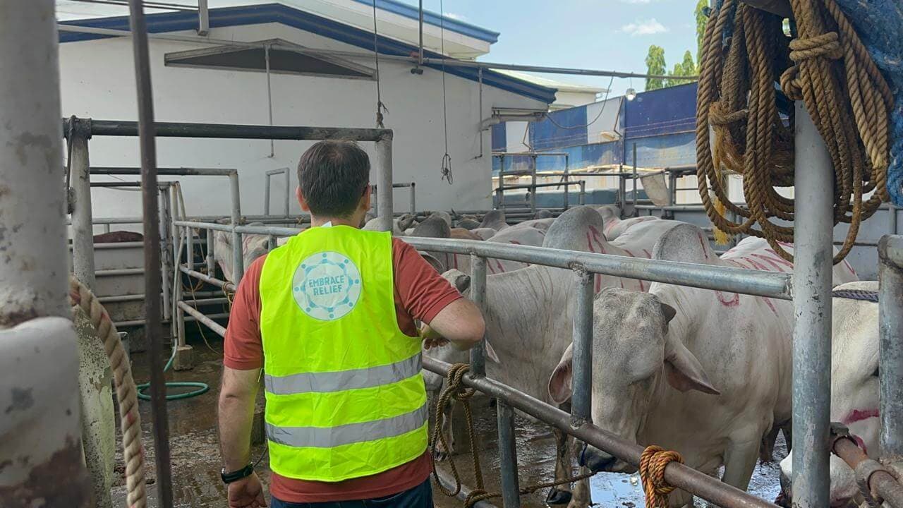 Do I need to give Qurbani?
