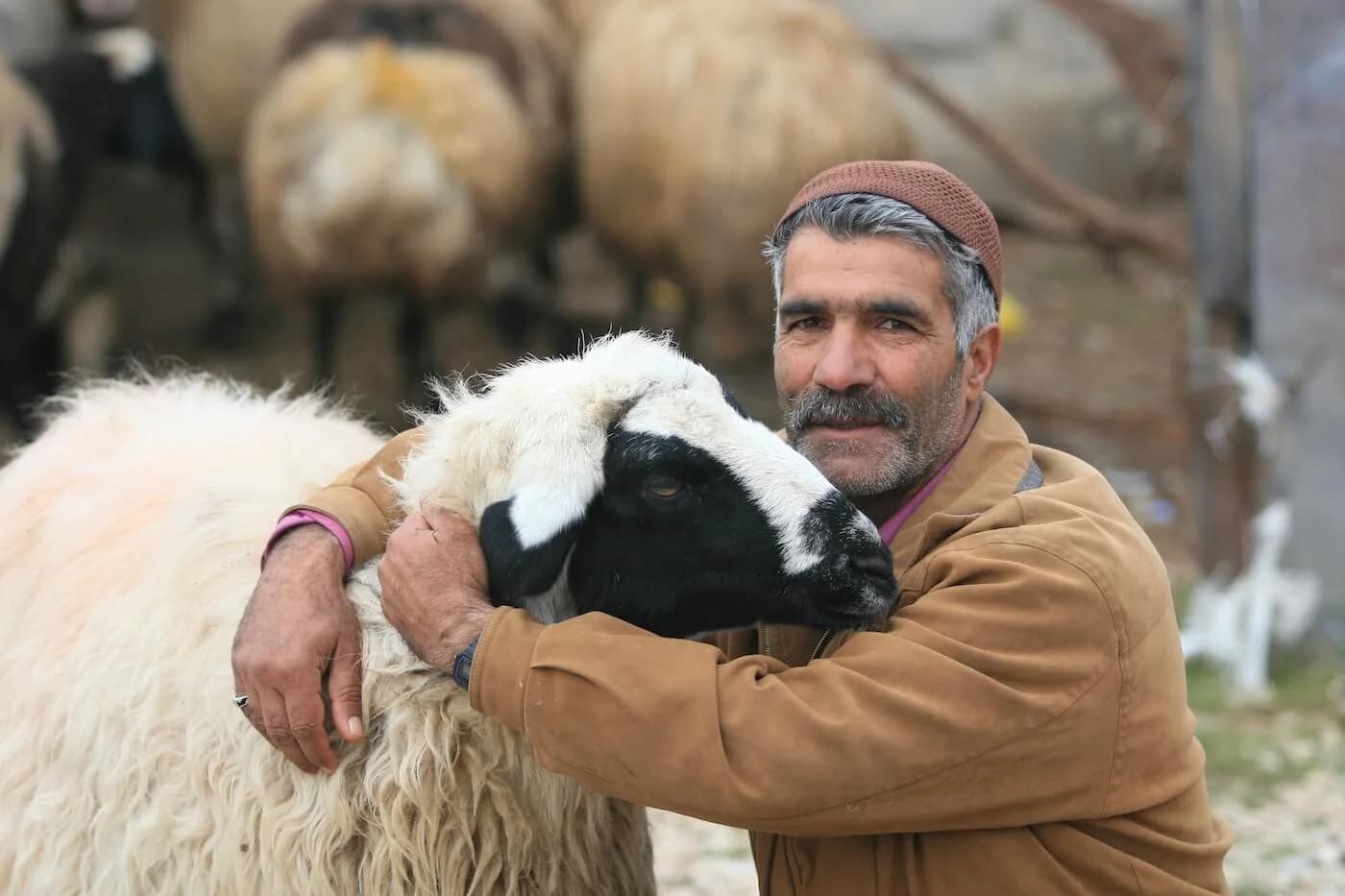 Eid al-Adha 2023: A time for faith and compassion