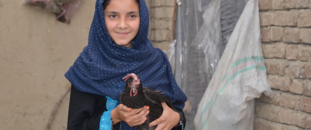 A woman caring for livestock provided through livelihood support