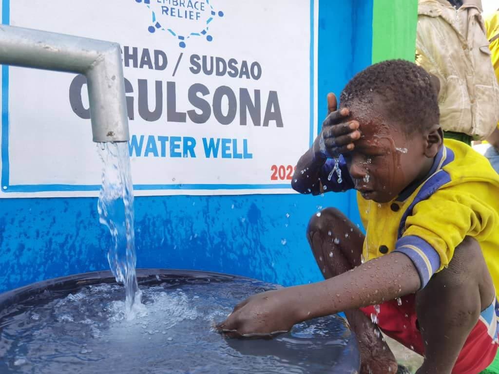 Ogulsona Water Well