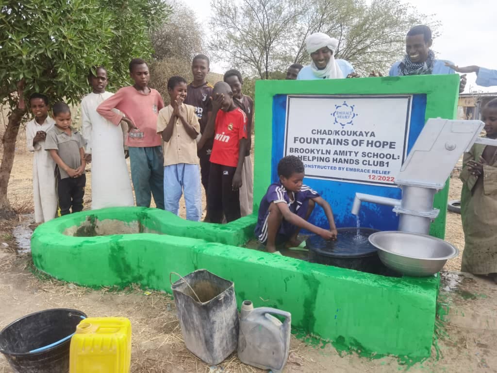 Brooklyn Amity School Water Well