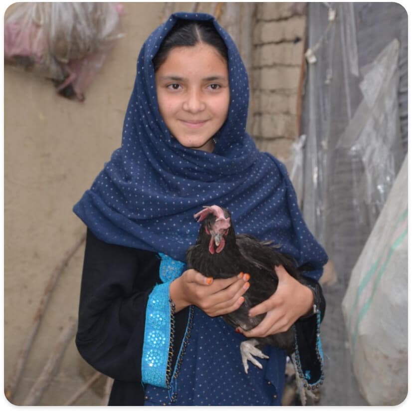 Gift Catalog: Goats and Chickens