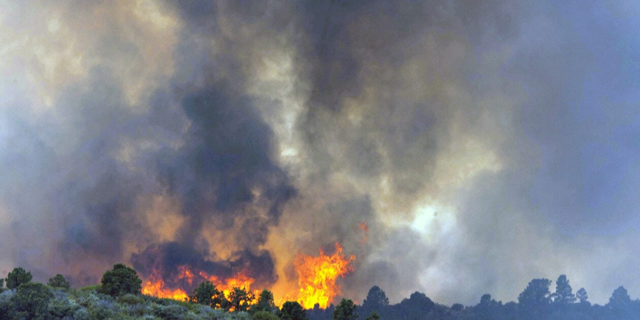  Arizona Firefighters