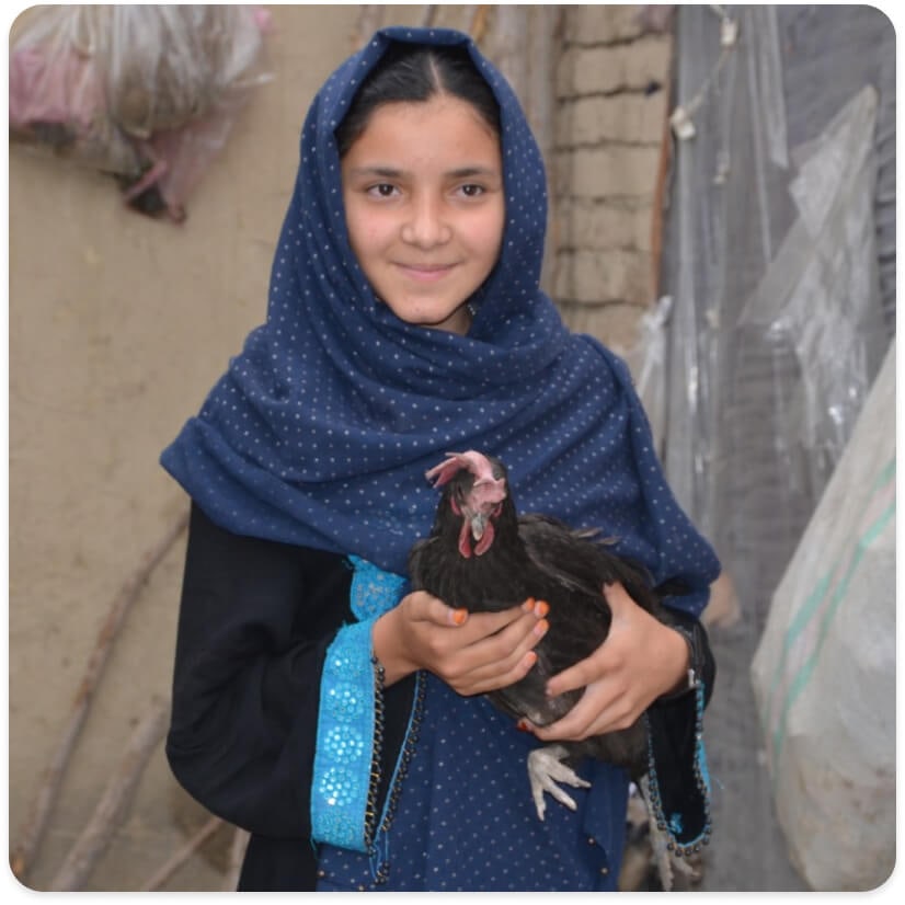 Gift Catalog: Goats and Chickens