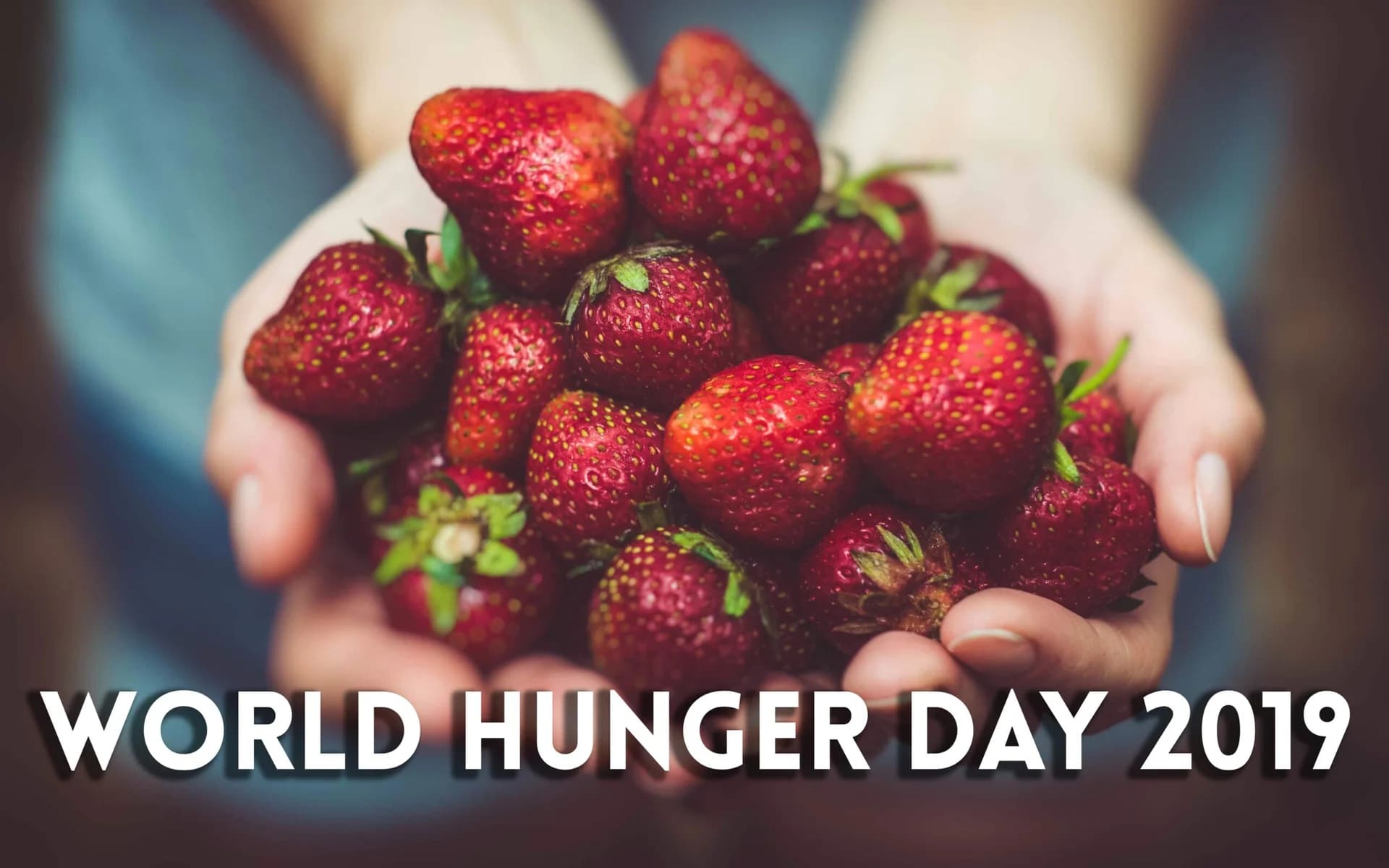 Today is World Hunger Day