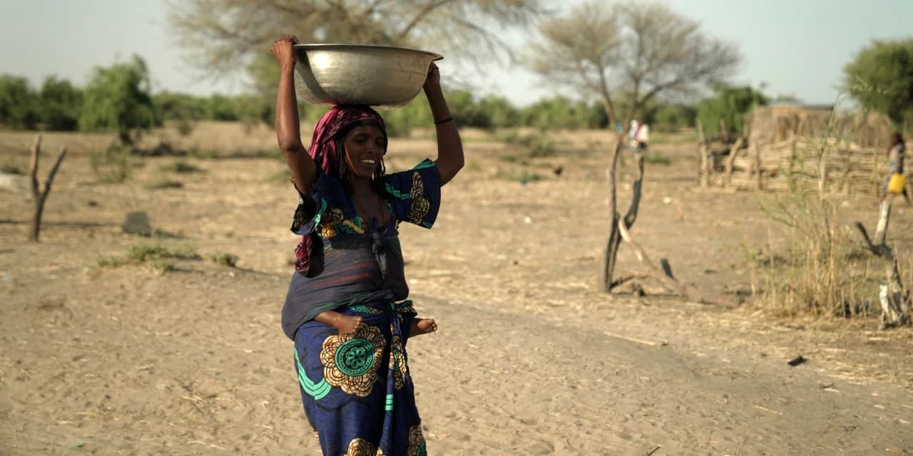 What is water scarcity?