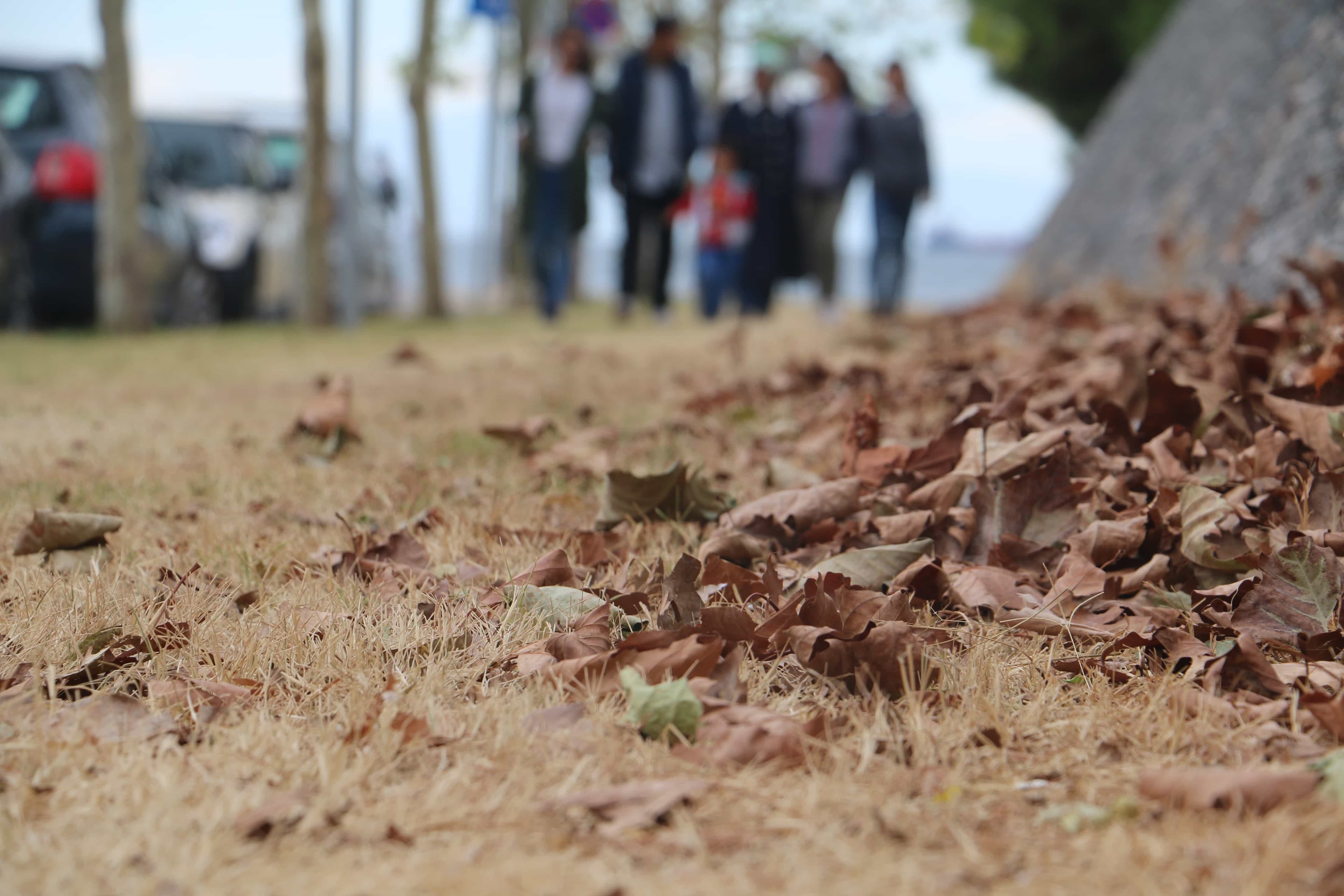 Give a Food Pack to Refugees in Greece