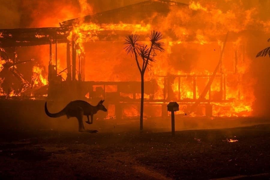 Australia Wildfires Disaster Relief