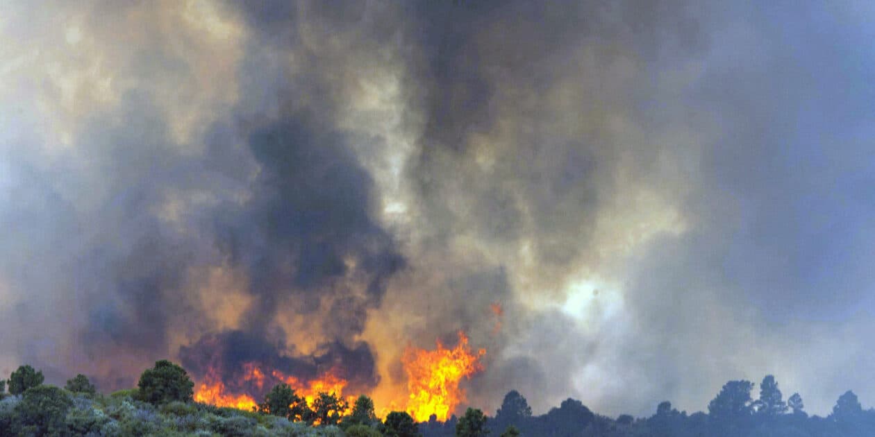 Arizona Firefighters