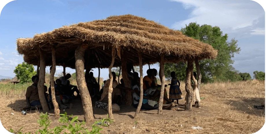 S.E.E.D. initiative providing livestock and training to women