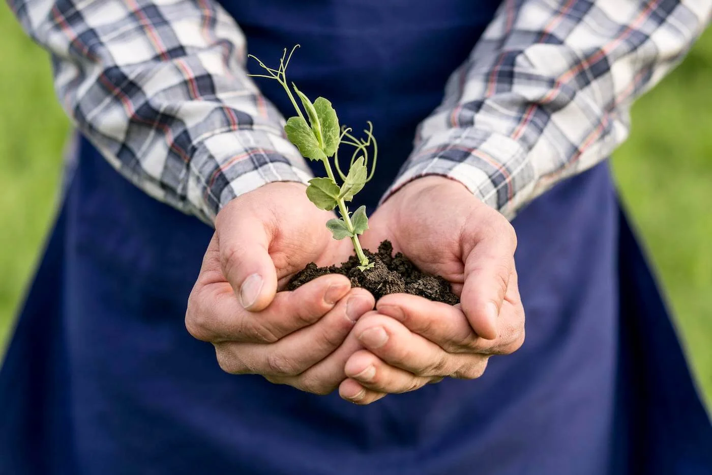 Embrace Relief strategies for combating hunger and empowering communities