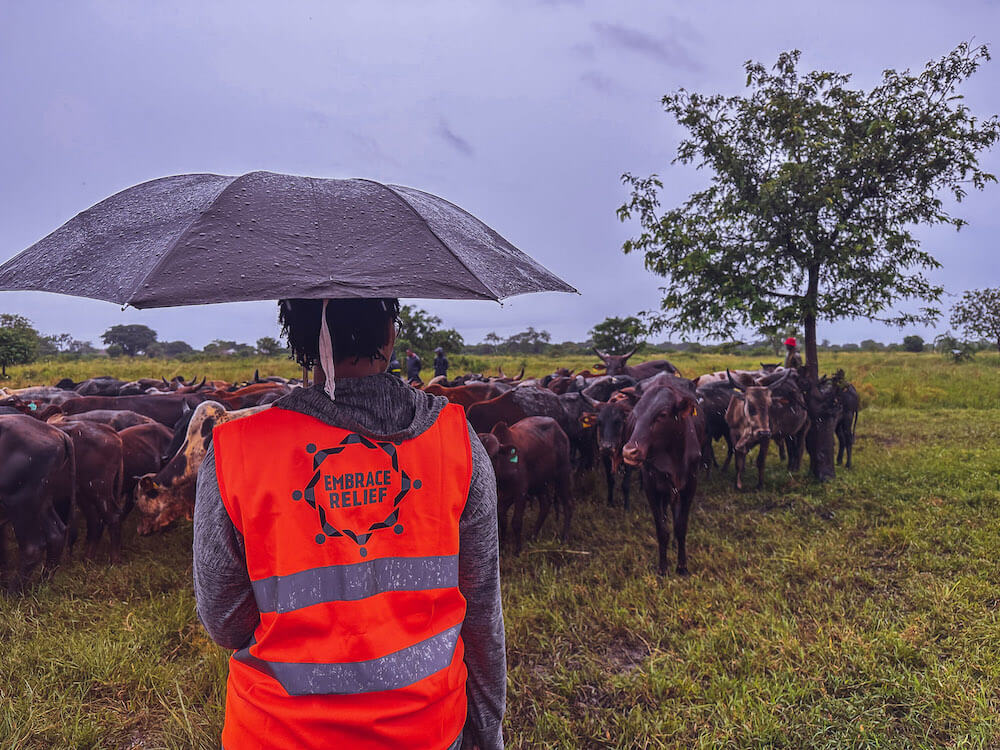 Do I Owe Qurbani?
