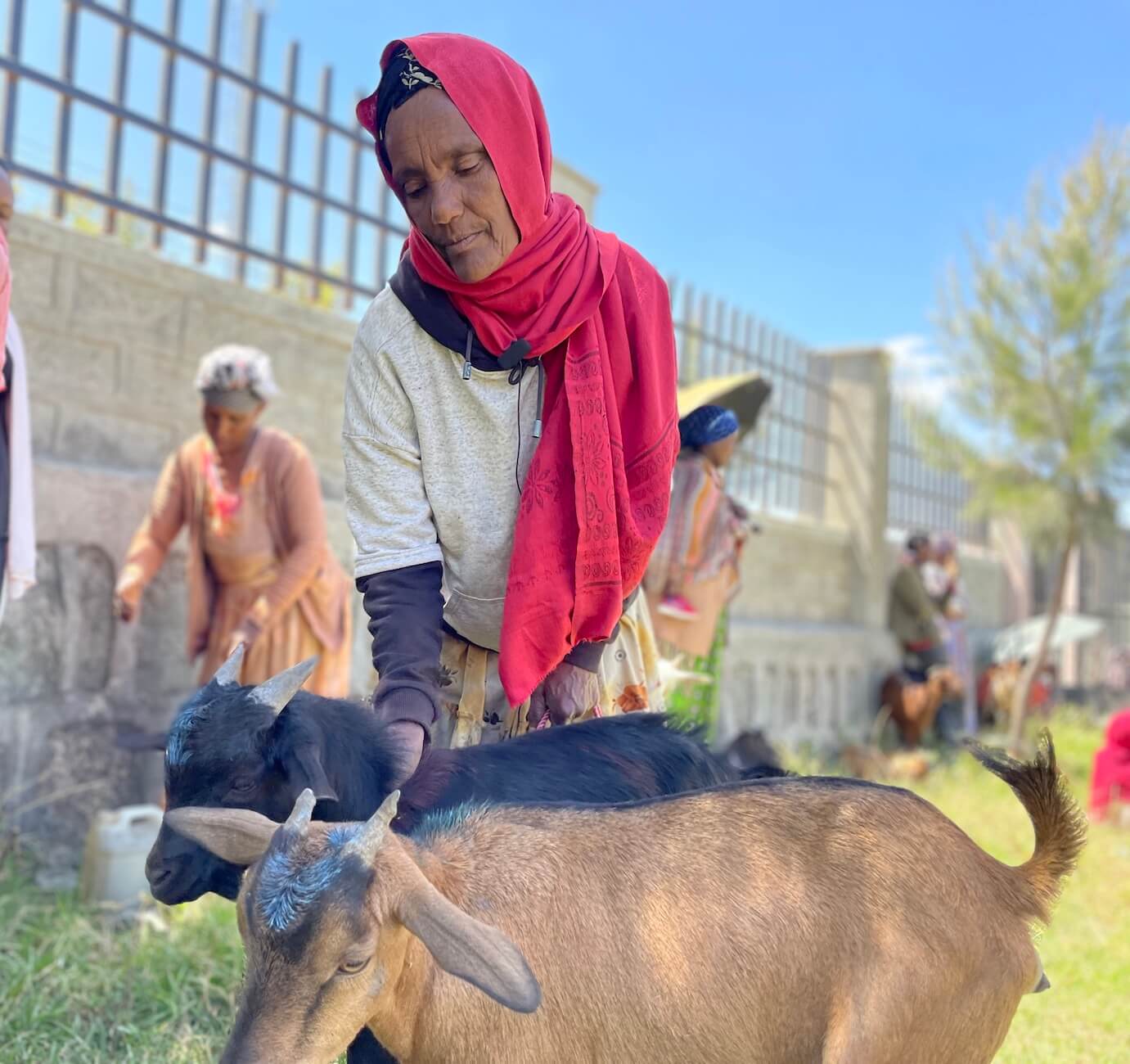 Women participating in Embrace Relief's empowerment education program in Ethiopia
