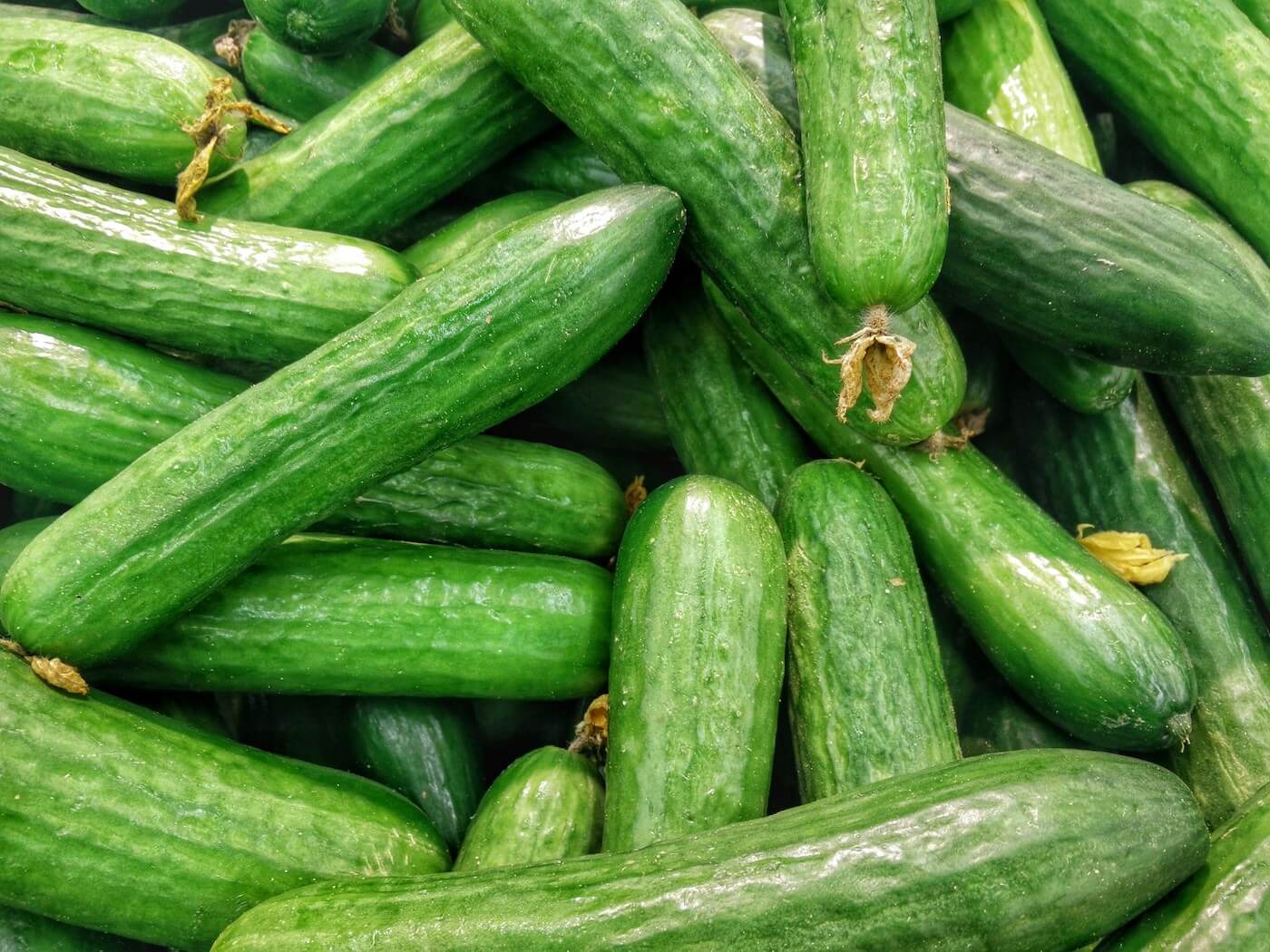Supporting image for Logan Moffitt's top 5 cucumber salad recipes