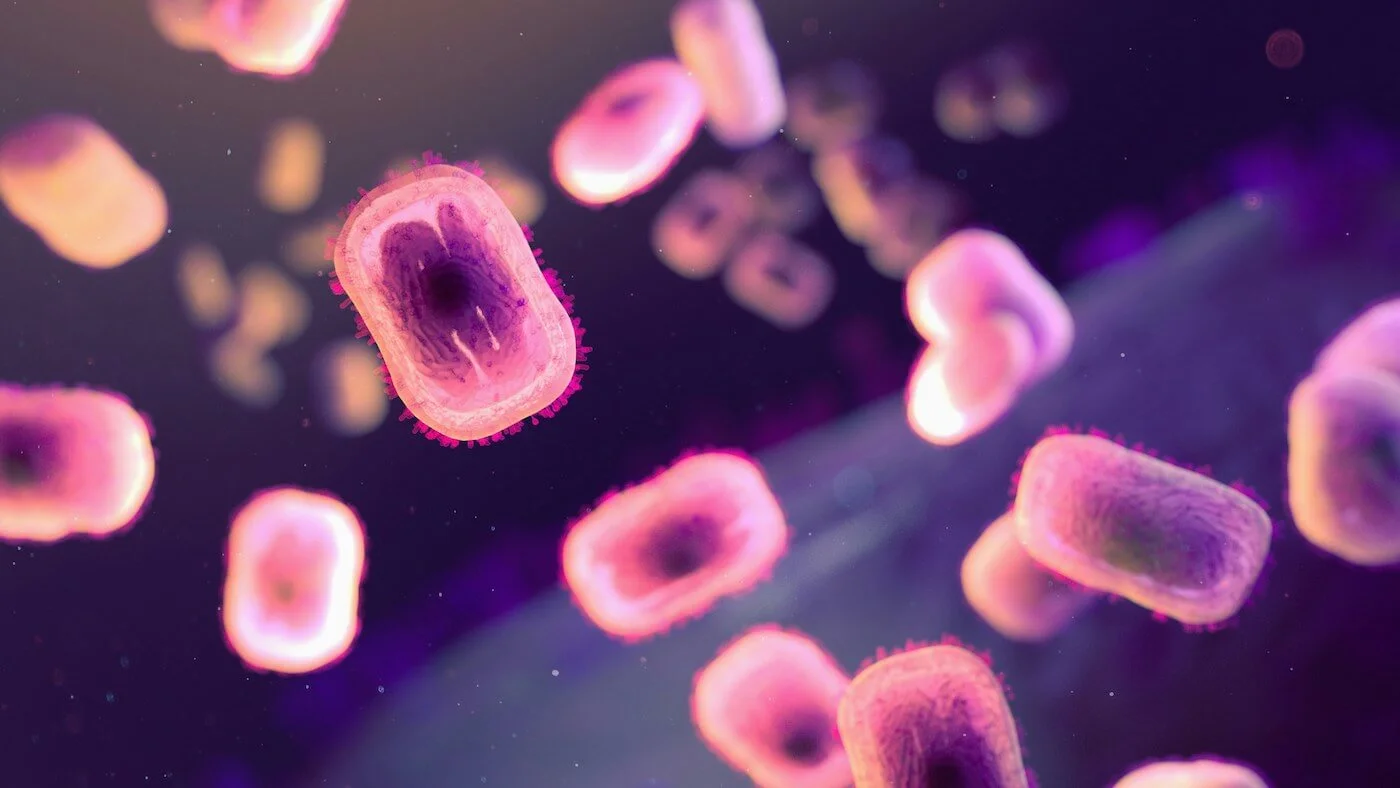 Medical illustration or photo related to Mpox symptoms and transmission