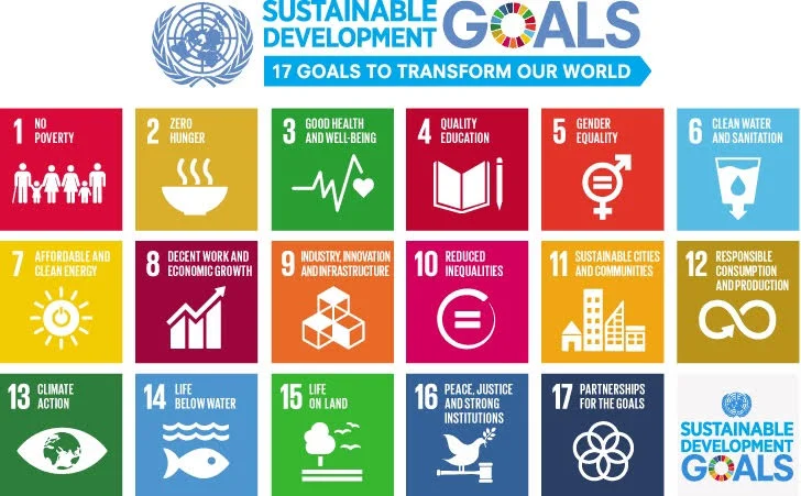 Infographic displaying the 17 United Nations Sustainable Development Goals icons and titles