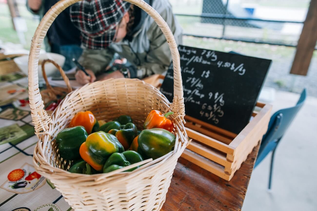 Why Are Farmers' Markets Trending During Summer?