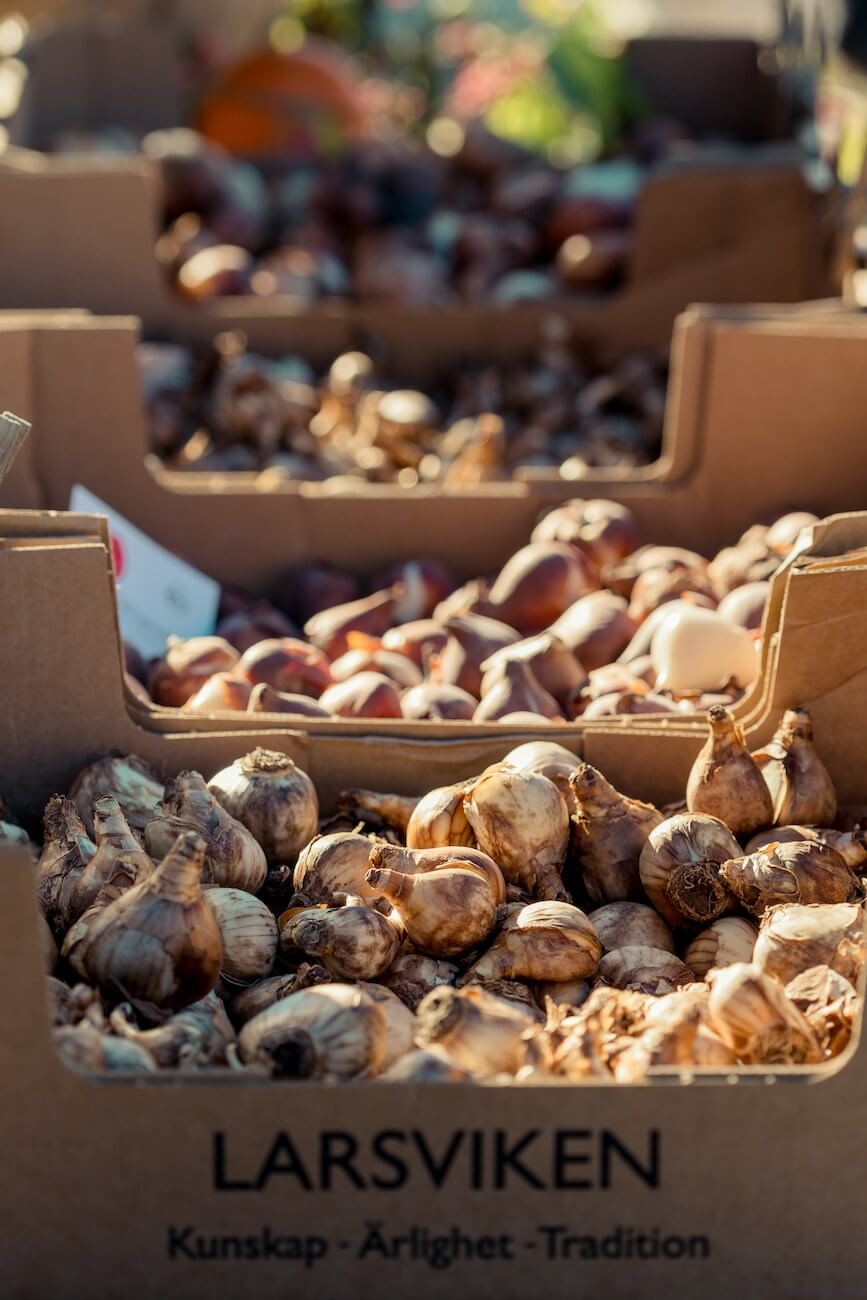 The Appeal of Farmers' Markets