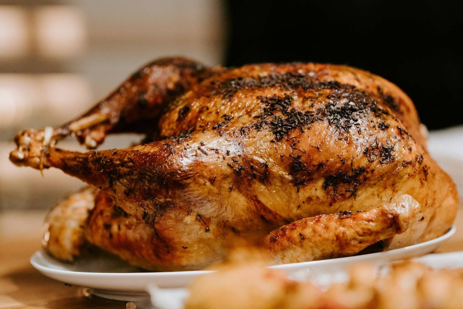 Best Thanksgiving Turkey Recipe