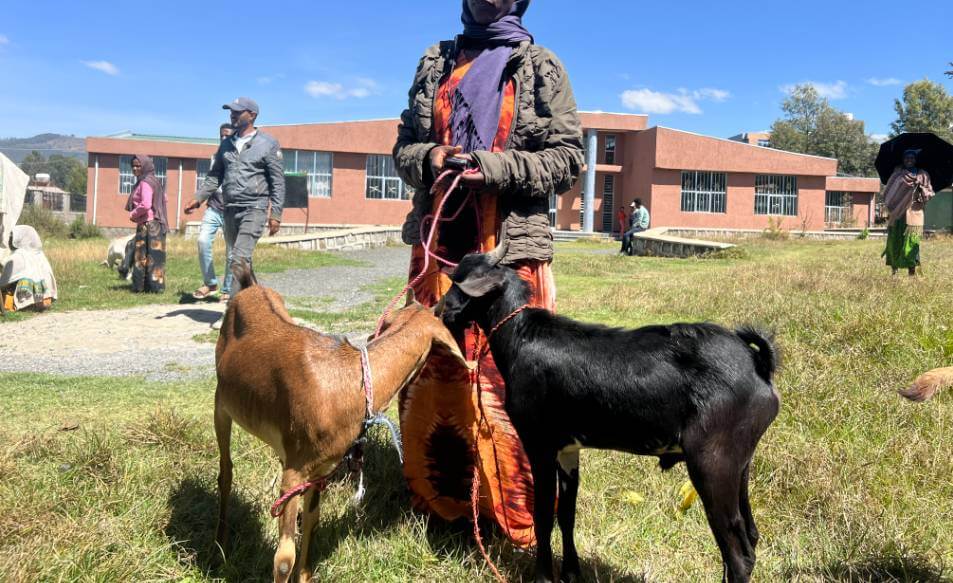 Why Pygmy Goats Are Trending and How They’re Empowering Women Around the World!