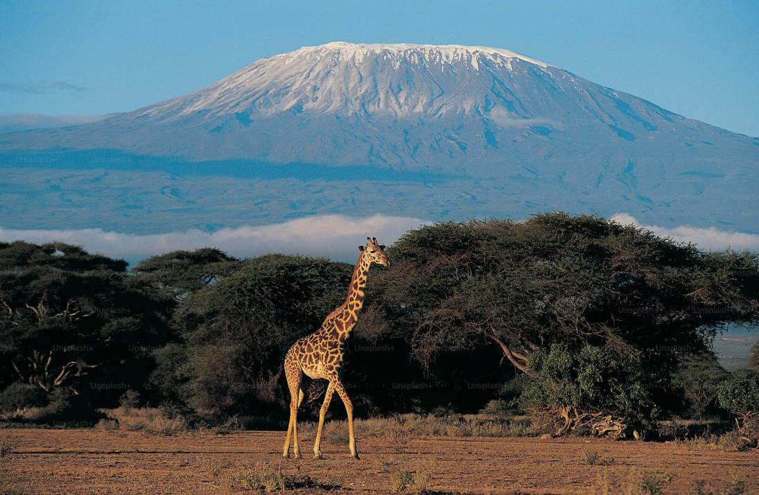 Best Times to Visit Tanzania: Plan Your Adventure